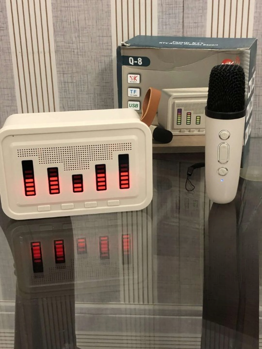 Portable Bluetooth Karaoke Speaker with Wireless Mic – Random Color